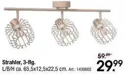 Zurbrüggen Novel Strahler, 3-flg. Angebot