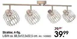 Zurbrüggen Novel Strahler, 4-flg. Angebot