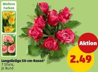 PENNY Langstielige 50-cm-Rosen Angebot