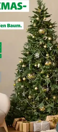 Hagebau Nordmanntanne Angebot