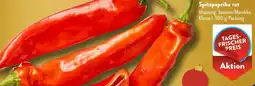 Aldi Süd Spitzpaprika rot Angebot
