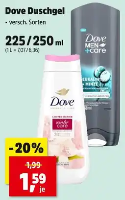 Thomas Philipps Dove duschgel winter care Angebot