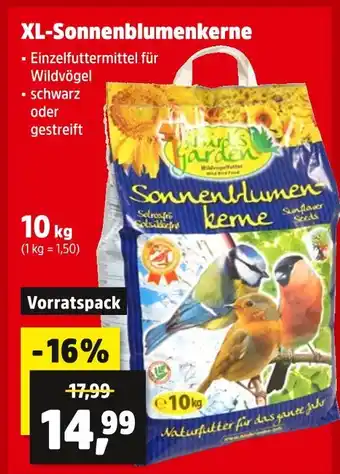 Thomas Philipps Xl-sonnenblumenkerne Angebot