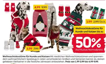 Rusta Weihnachtskostüme für hunde und katzen Angebot
