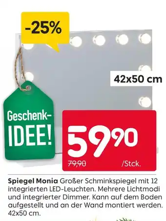 Rusta Spiegel monia Angebot