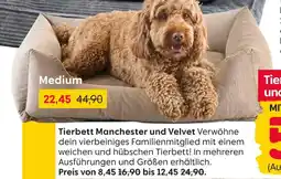 Rusta Tierbett manchester und velvet Angebot