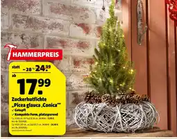 Hagebau Zuckerhutfichte „picea glauca ‚conica‘“ Angebot