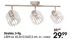 Zurbrüggen Strahler, 3-flg Angebot