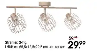 Zurbrüggen Strahler, 3-flg Angebot