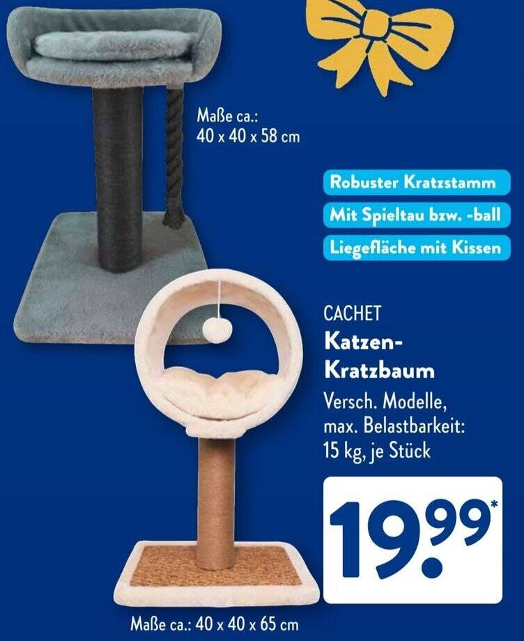 CACHET Katzen Kratzbaum Angebot bei Aldi Sd
