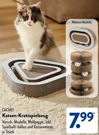 Aldi Süd CACHET Katzen-Kratzspielzeug Angebot