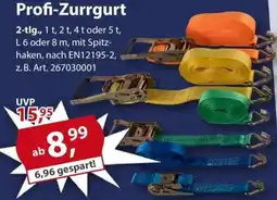 Sonderpreis Baumarkt Profi-Zurrgurt Angebot