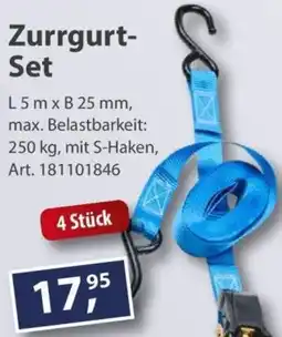 Sonderpreis Baumarkt Zurrgurt-Set Angebot