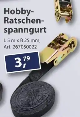 Sonderpreis Baumarkt Hobby Ratschenspanngurt Angebot