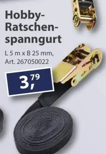 Sonderpreis Baumarkt Hobby Ratschenspanngurt Angebot
