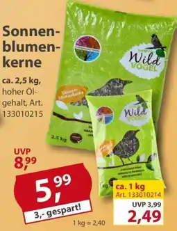 Sonderpreis Baumarkt Sonnenblumenkerne Angebot