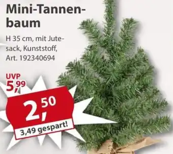 Sonderpreis Baumarkt Mini-Tannenbaum Angebot