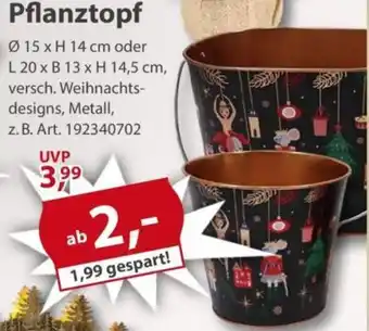 Sonderpreis Baumarkt Pflanztopf Angebot