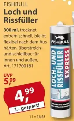 Sonderpreis Baumarkt FISHBULL Loch und Rissfüller Angebot