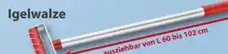 Sonderpreis Baumarkt Igelwalze Angebot