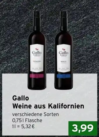 CAP Markt Gallo Weine aus Kalifornien Angebot