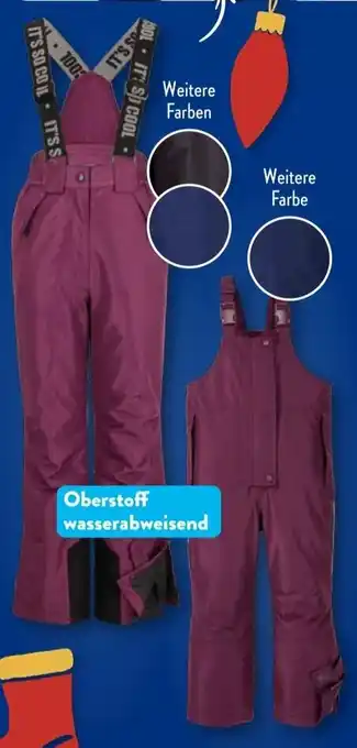 Aldi Süd CRANE Ski-Hose Angebot
