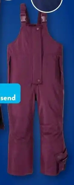 Aldi Süd CRANE Schnee Hose Angebot