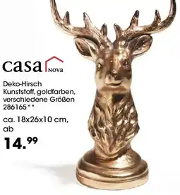 Möbel Martin Casa Nova Deko-Hirsch Angebot