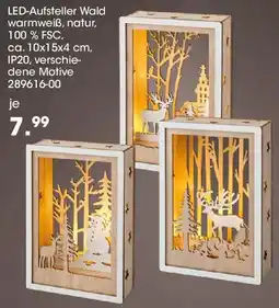 Möbel Martin LED-Aufsteller Wald Angebot