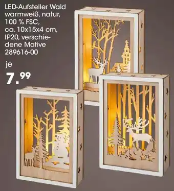 Möbel Martin LED-Aufsteller Wald Angebot