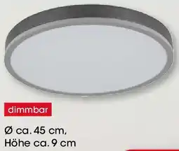 Möbel Martin Deckenleuchte Angebot