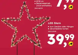 Globus Baumarkt LED Stern Angebot