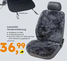 Globus Baumarkt Lammfell Vordersitzbezug Angebot