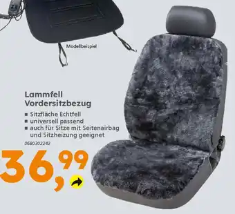 Globus Baumarkt Lammfell Vordersitzbezug Angebot