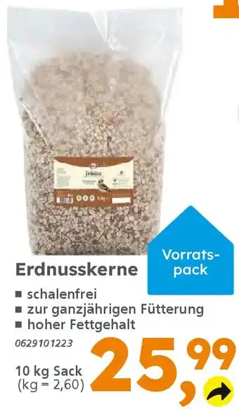 Globus Baumarkt elles Erdnusskerne Angebot