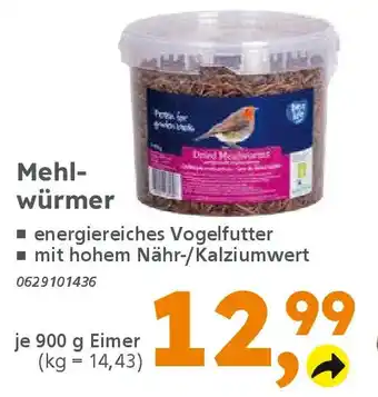 Globus Baumarkt Mehlwürmer Angebot