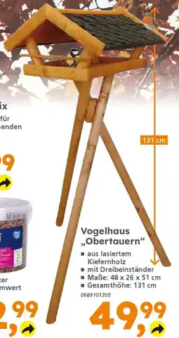 Globus Baumarkt Vogelhaus ,,Obertauern❝ Angebot