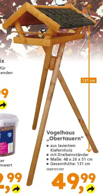 Globus Baumarkt Vogelhaus ,,Obertauern❝ Angebot