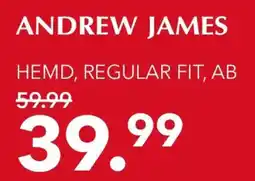 Peek & Cloppenburg Hamburg ANDREW JAMES HEMD, REGULAR FIT Angebot