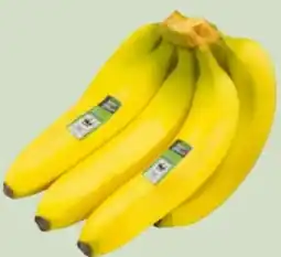 Edeka Xpress Edeka Bio Bio-Bananen Angebot