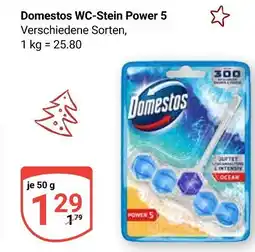 Globus Domestos wc-stein power 5 Angebot