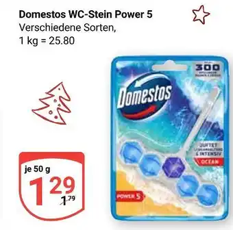 Globus Domestos wc-stein power 5 Angebot