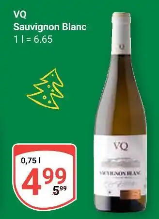 Globus Vq sauvignon blanc Angebot