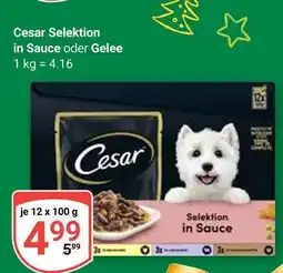 Globus Cesar selektion in sauce oder gelee Angebot
