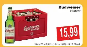 Getränke Göbel Budweiser Budvar Angebot