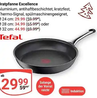Globus Tefal bratpfanne excellence Angebot