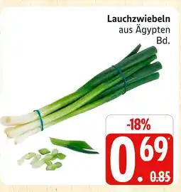 Marktkauf Lauchzwiebeln Angebot