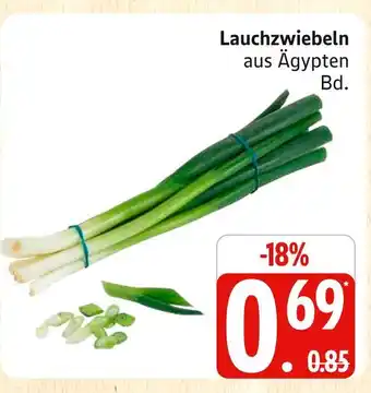 Marktkauf Lauchzwiebeln Angebot