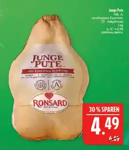 Marktkauf Ronsard junge pute Angebot