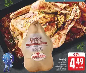 Edeka Ronsard junge pute Angebot